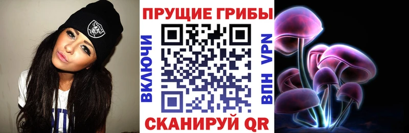 kraken зеркало  Магас  Псилоцибиновые грибы GOLDEN TEACHER  продажа наркотиков 