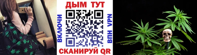 Шишки марихуана ГИДРОПОН Магас